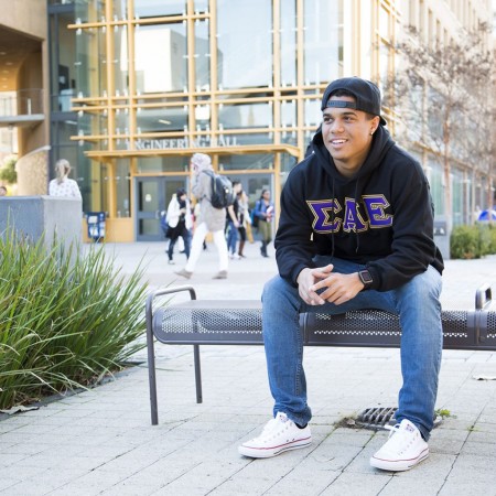 Sigma Alpha Epsilon Gildan Ultrablend Pull Over Hoodie