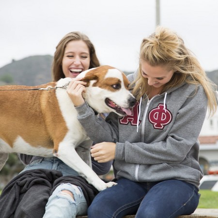 Alpha Phi Hoodie