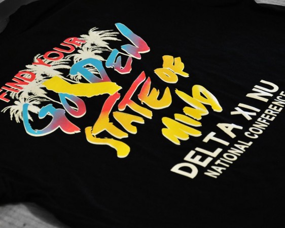 Delta Xi Nu Custom Printed Shirts
