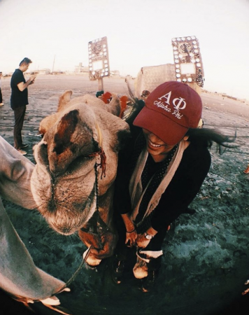 Alpha Phi Vintage Cap