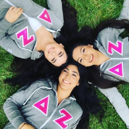 Delta Zeta Zip Up Hoodie